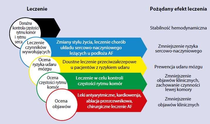 Strategia leczenia Doustne leczenie przeciwkrzepliwe