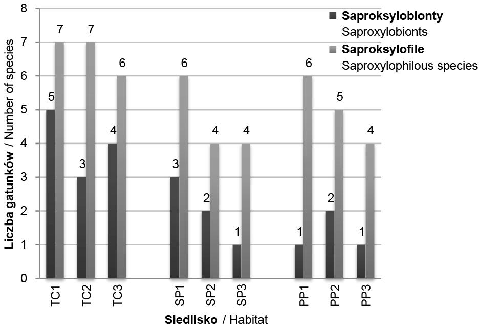 typowe cechy siedliska, TC3, SP3, PP3 martwe drewno w lesie silnie odkształconym. Figure 3. Number of Collembola species collected in dead wood.