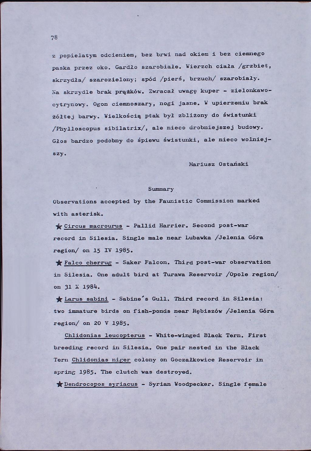 78 z popielatym odcieniem, bez brwź nad okiem i bez ciemnego paska przez oko. Gardło szarobiałe. Wierzch ciała /grzbiet, skrzydła/ szarozielony; spód /pierś, brzuch/ szarobiały.