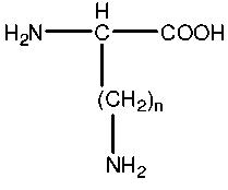 71 1 2 w którym n = 1 do 4 [wzór I] [0137] Do przykładów par aminokwasów zdolnych do utworzenia wiązania kowalencyjnego, w wyniku czego powstaje mostek łączący złożony z siedmiu atomów, należą