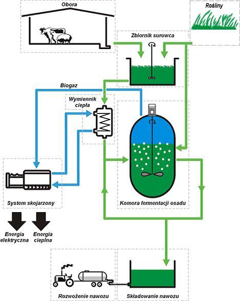 Biogazownia rolnicza w perspektywie Produkcja biogazu rolniczego może stać się ważnym źródłem energii odnawialnej oraz dodatkowym lub podstawowym źródłem dochodów dla niektórych gospodarstw rolnych.