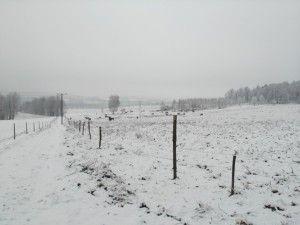 .pl https://www..pl Czy zima znów nas zaskoczy? Pług śnieżny przydaje się szczególnie w gospodarstwach, gdzie często zdarzają się intensywne opady śniegu, np. w tych położonych w górach.