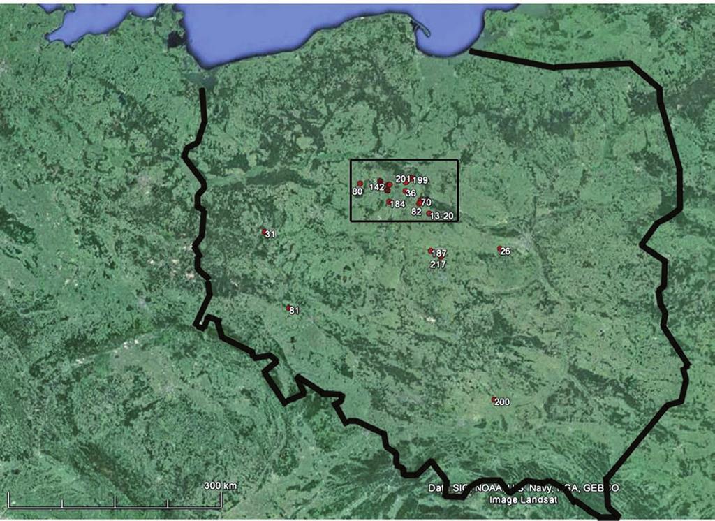 przyczynek do badań nad rolą psów w społecznościach