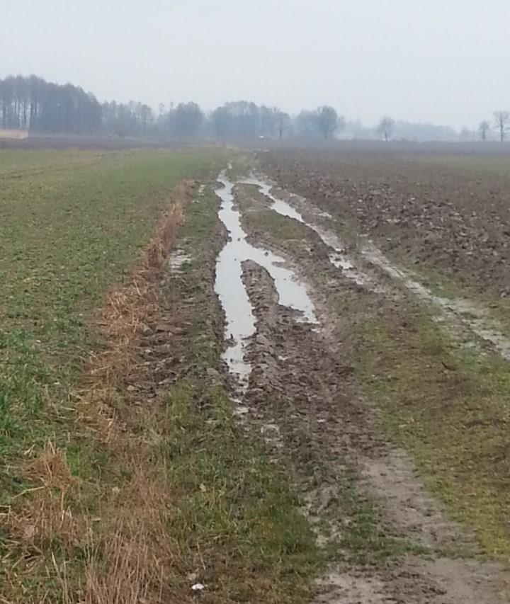 Rysunek 11 Nawierzchnia na odcinku Rynarcice-Przydroże Wielkie TRASA ROWEROWA R17 Tabela 3 Karta inwentaryzacja trasy rowerowej R17 Nazwa Powiat Przebieg trasy R17 Nyski Wilemowice Kamiennik