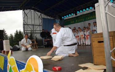 Piknik Pisarzowa