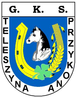 wrzesień 2014 Głos Przykony 11 P Dobry początek seniorów, a pechowy juniorów starszych Seniorzy Teleszyny Przykona rozpoczęli sezon od dwóch zwycięstw. W trzecim meczu doznali porażki we Malanowie.