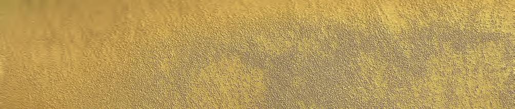 GOLD 200 l 99,95/l 755.7V.ARG SETTEVELI Kolor podst. SILVER 1000 l 69,95/l 755.7V.ORO SETTEVELIKolor podst.