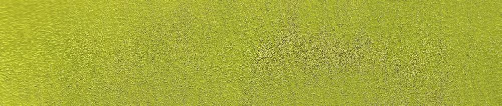 1.MAD.ORO MADREPERLA GOLD 1000 l 94,95/l 755.1.MAD.GLT MADREPERLA GLITTER 2,5 l 119,95/l 755.