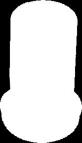 Parownik