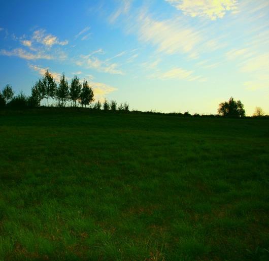 Objęcie terenu Miejskim Planem Zagospodarowania Przestrzennego (działki budowlane).