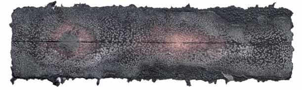 BARBARA MYDLAK Lipiec fragment cyklu: Dzienniki żałobne 14 x 60 cm, technika: papier ręcznie czerpany, celuloza lniana, celuloza lniana + celuloza z konopi; 2016 Sierpień fragment cyklu: Dzienniki