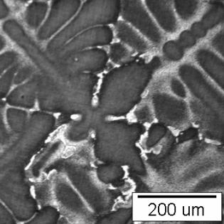 irregular γ particles are present [1, 17]. Figure 9 