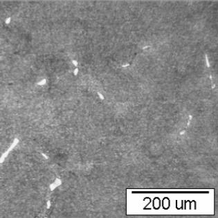1.6. Heat treatment and microstructure In order to achieve alloy chemical homogeneity and eliminate microsegregation, solidified alloys undergo heat treatment (homogenization), which dissolves the γ