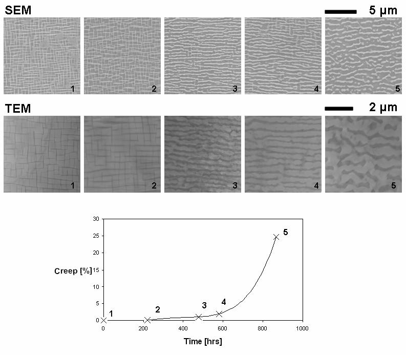 circumstances, rafting in real components occurs under multiaxial state of stress [6].