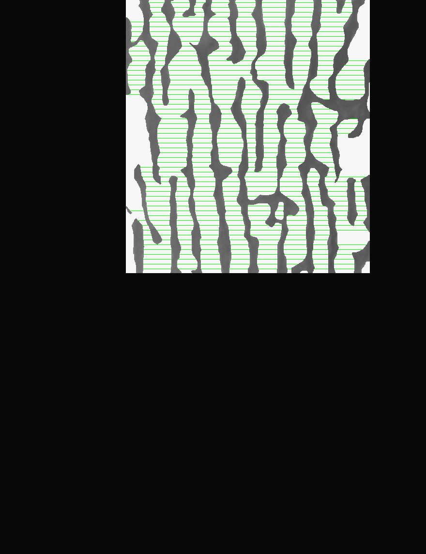 length of γ/γ interface boundary in directions normal to the tensile axis. L is the distance between ± 180º bends of the continuous γ/γ interfaces.