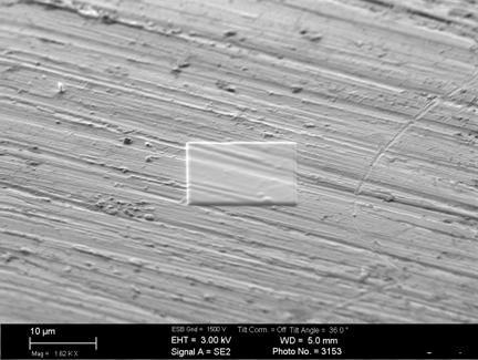 dual-beam FIB NEON 40EsB CrossBeam of Zeiss, by serial sectioning. The Pt protective layer was deposited on the surface of both samples (see Fig.