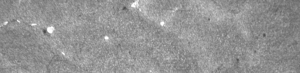 particles was 447 nm.