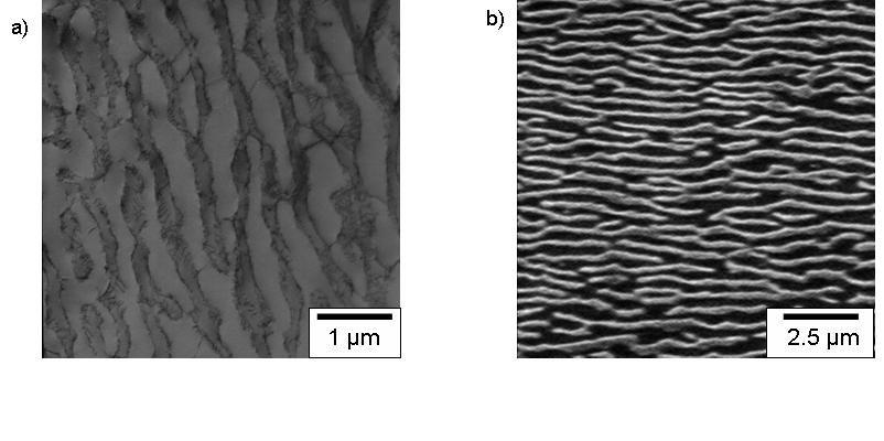 neighbouring lamellas and rafts become more wavy. Widening of γ channels is still visible. The microstructures of samples no 4 and 3, which were creep tested to rupture, (Figs.