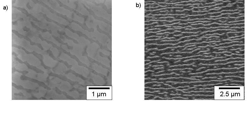 Fig. 53. PWA 1497, sample no 8, crept at 982 C/248 MPa, creep strain 0.05%, duration 1.6 h. The γ particles are still well separated; a) TEM, b) SEM Fig. 54.