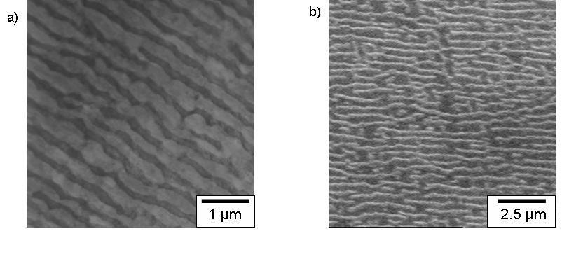 Fig. 56. PWA 1497, sample no 11, crept at 982 C/248MPa, creep strain 1.