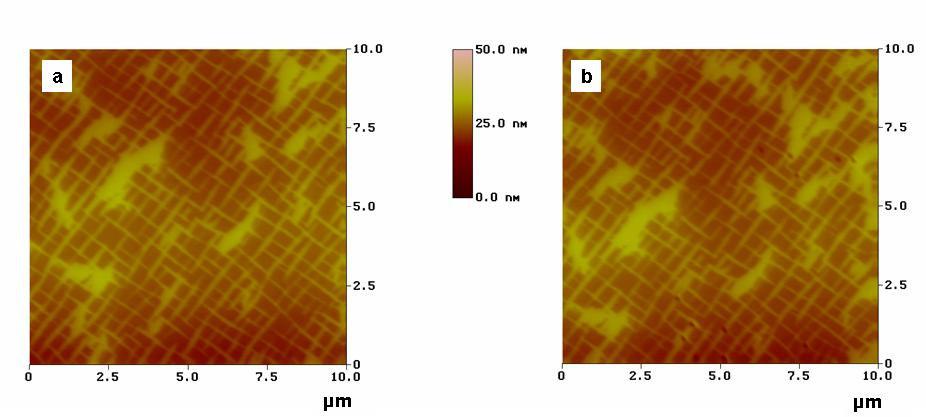 Fig. 87. PWA 1484 superalloy, sample no. 6: surface topography before (a) and after (b) NI-AFM tests (indents in γ and γ phases are visible) revealed by AFM Fig. 88. PWA 1484 superalloy, sample no. 2: surface topography before (a) and after (b) NI-AFM tests (indents in γ and γ phases are visible) revealed by AFM Fig.