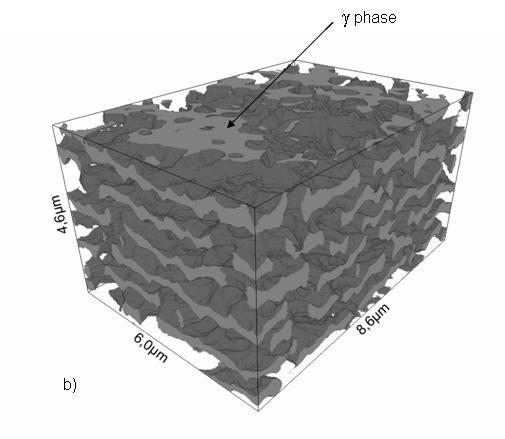 25%, duration 870 h, 3D reconstruction showing the final stage of the