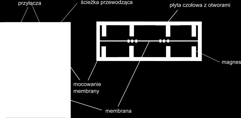 spotykana w słuchawkach źródło: A.