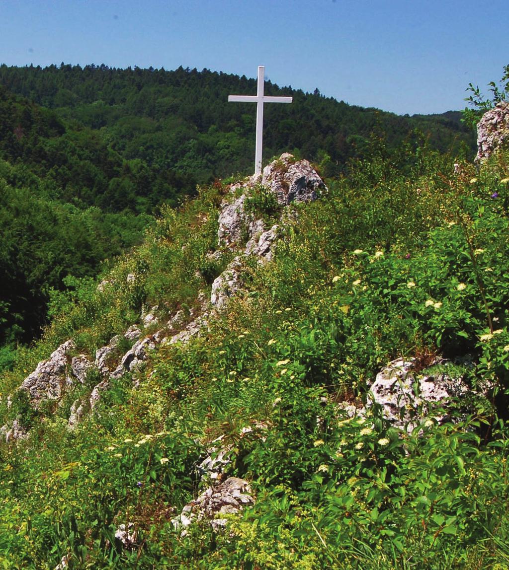 Chrońmy Przyr. Ojcz. rocznik 71, zeszyt 2, 2015 Cel i metodyka badań Celem badań było poznanie i opis środowisk życia cykady w OPN oraz ustalenie, czy występuje ona na stanowiskach corocznie.