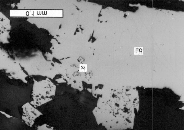 206 A. ŁUSZCZKIEWICZ, A. MUSZER Rys. 4. Wrostki złota rodzimego w löllingicie Produkt K2 jest wyraźnie grubiej uziarniony od K1. Wielkość ziaren kruszców waha się od 5 µm do 1,0 mm.