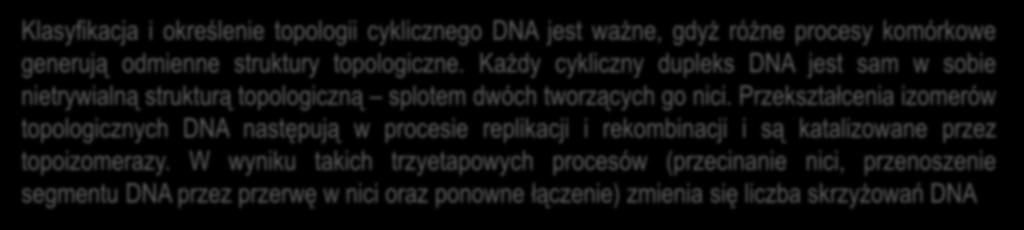 Klasyfikacja i określenie topologii cyklicznego DNA jest ważne, gdyż różne procesy komórkowe generują odmienne struktury topologiczne.