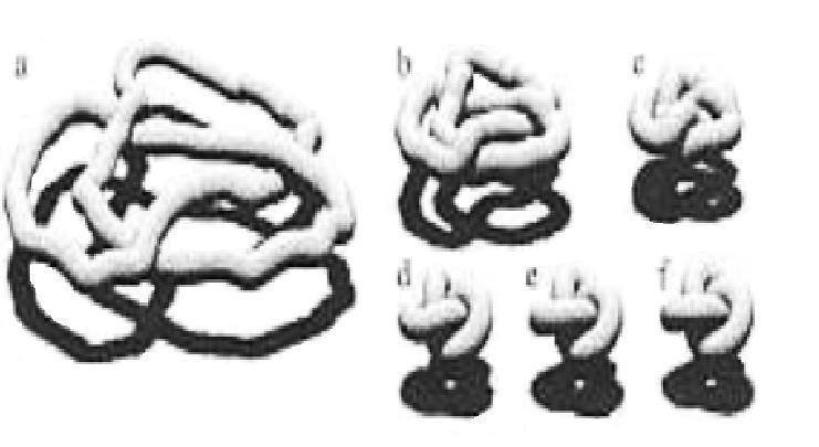 węzły i sploty idealne nawiązujące do koncepcji idealnych figur platońskich. Charakterystykę geometryczną węzłów fizycznych zastępuje się obrazami torusa w R 3.