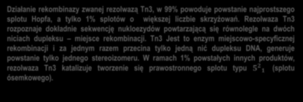 Działanie rekombinazy zwanej rezolwazą Tn3, w 99% powoduje powstanie najprostszego splotu Hopfa, a tylko 1% splotów o większej liczbie skrzyżowań.