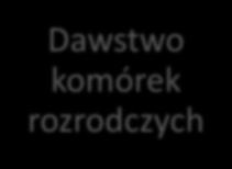 Rodzaje dawstwa Dawstwo