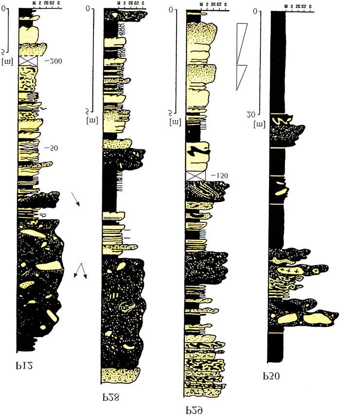 Debryty kohezyjne warstw istebniañskich (senon górny paleocen)... 213 Fig. 13.