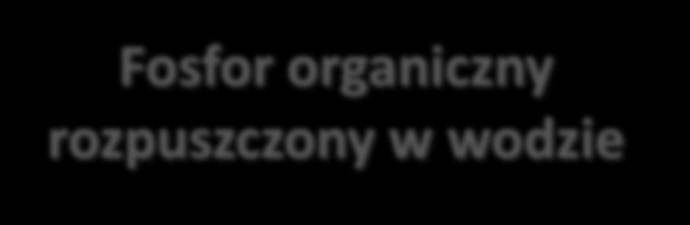 partykularny Bakterie osiadłe