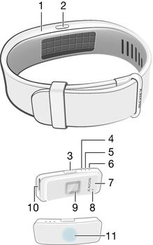 Podstawy Wprowadzenie Opaska SmartBand 2 to akcesorium łączące się bezprzewodowo poprzez Bluetooth z urządzeniami z systemem Android.