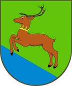 W kadencji 2011-2015 funkcję sołtysa pełniła Anna Gołębiewska. W kadencji 2015-2019 funkcję sołtysa pełni Józef Trzebiński.