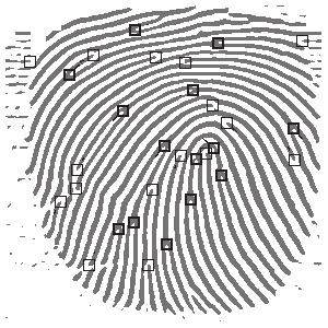 In general, biometric authentication system is functioning in two phases [4]: first one, called enrollment phase, is aimed at creation of biometric template which is used later (phase two) for