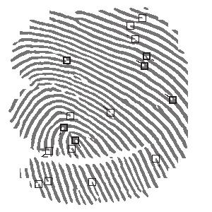 Quantitative and qualitative characteristics 57 Definition of fingerprint biometric template ID X Y Angle Type #0: 201 25 angle= 2.968525 type=1 #1: 191 55 angle= 2.710685 type=1 #2: 207 79 angle=0.