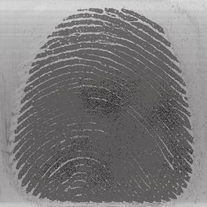 Fingerprint characteristics (minutiae): 3a