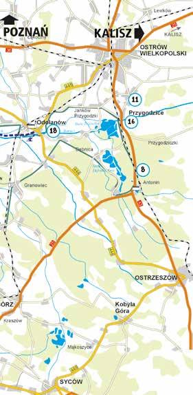 KOLACJE RYBNE 8 6 /piątek/ Ryba do syta!, miejsce: Restauracja Lido, Antonin, czas trwania: 19:00 24:00 9 7 Ryba do syta!