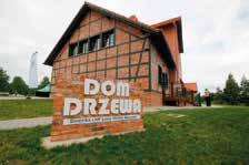 Nadleśnictwo Milicz Dom Drzewa