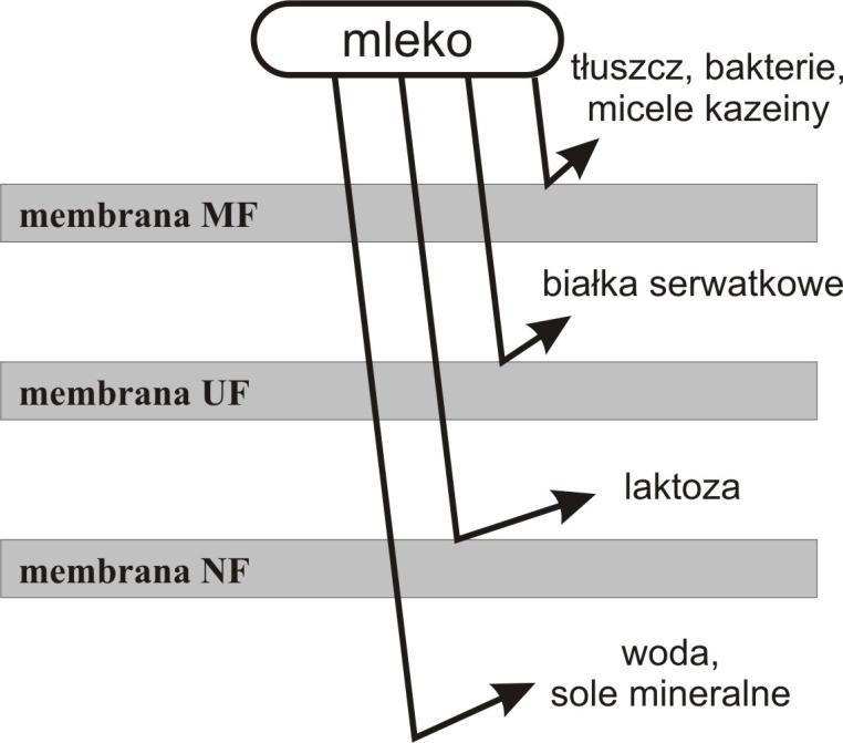 Mikrofiltracja mleka z zastosowaniem membran ceramicznych Rysunek 2.