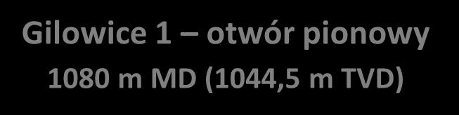 Otwory Gilowice 1 i Gilowice 2H Przekrój geologiczny i trajektorie wierceń Gilowice 1 otwór pionowy 1080 m MD