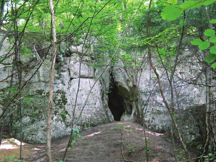 [54] Ryc. 11. Jaskinia Złodziejska; widok ogólny (fot. M.