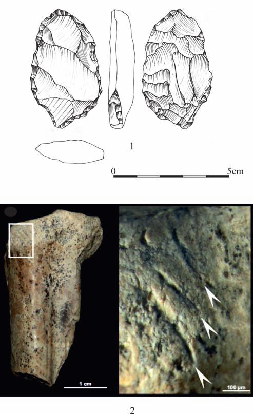 Osadnictwo paleolityczne na Wyżynie Ryczowskiej... 59 Ryc. 16. Schroniska nad Jaskinią Zegar. Wybór znalezisk: 1 ostrze liściowate; 2 kość zwierzęca (cervid metatarsal) z nacięciami (wg Sudoł i in.