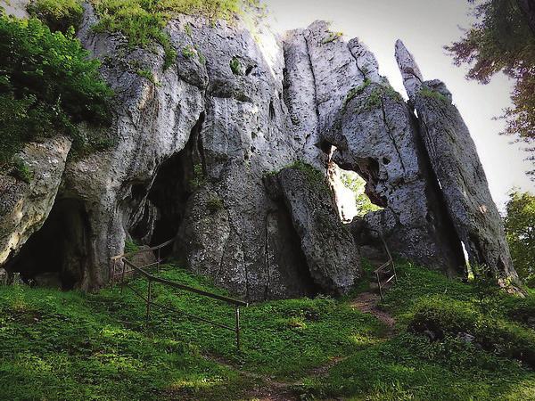 18. Schronisko IV Północne w Górze Birów koło Podzamcza; widok ogólny (fot. M.