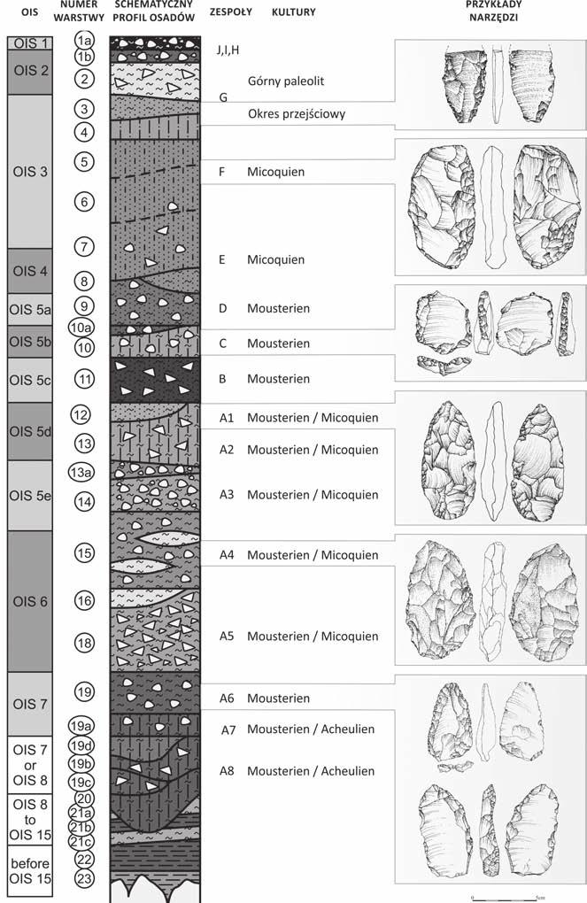 [47] Ryc. 3. Fig. 3. Schemat stratygrafii Jaskini Biśnik z przykładami środkowopaleolitycznych narzędzi z wybranych poziomów kulturowych (wg Sudoł i in.