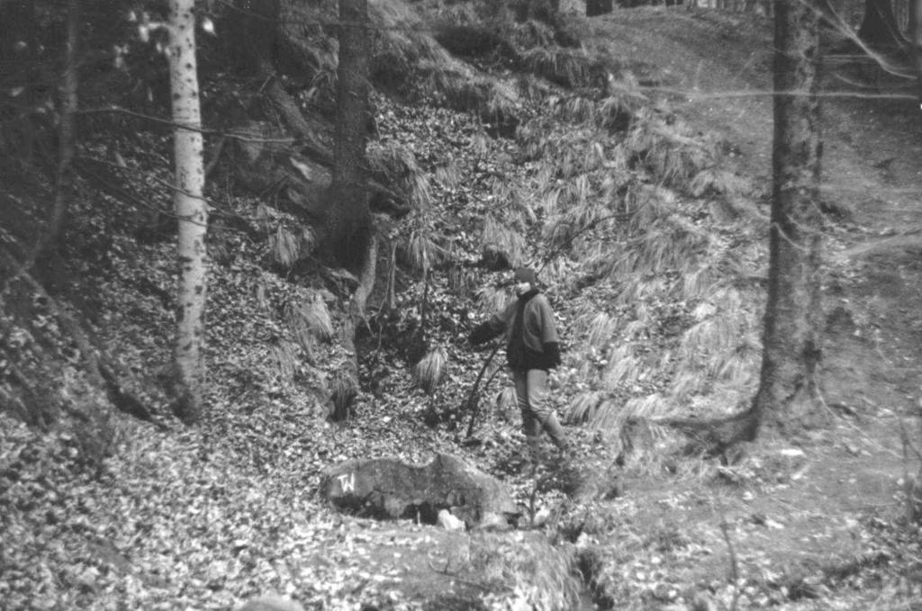 betonowego spiętrzenia z metalową rurką (fot. 1). Wypływ ten traktowany jest przez miejscową ludność jako źródełko. 159 Fot. 1. Zawalony wylot sztolni w rejonie nieistniejącej wsi Schlesierthal stan z 1996 r.