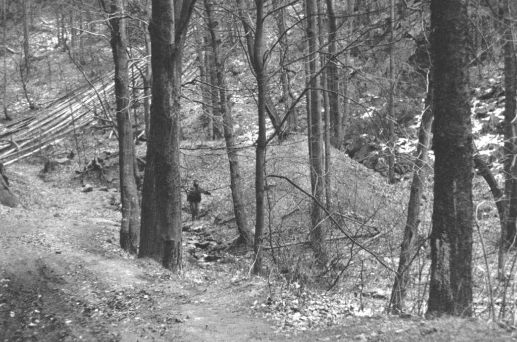 160 Fot. 2. Hałda przy wylocie sztolni w rejonie nieistniejącej wsi Schlesierthal stan z 1996 r. Phot. 2. The dump at adit mouth in the area of unexisting village Schlesierthal from the year 1996 Rys.